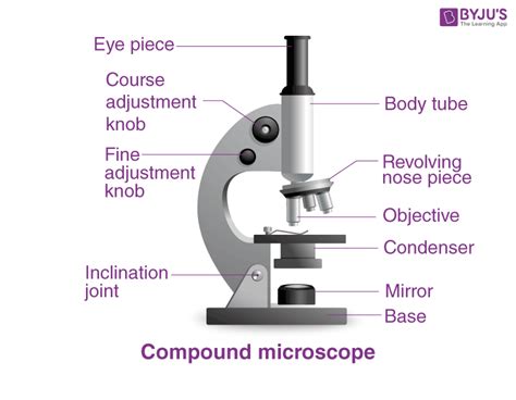 microscope slideshare|Microscope and Microscopy .